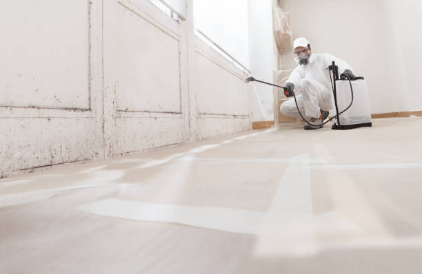 24/7 Emergency Basement Mold Remediation experts in Middletown, NJ