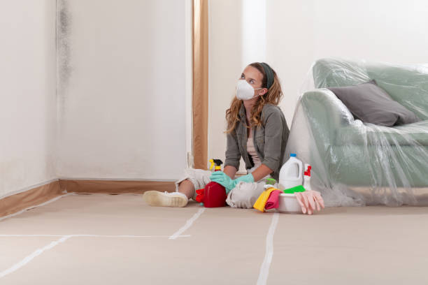 Reliable Basement Mold Remediation contractor in Middletown, NJ by Mold Remediation HQ